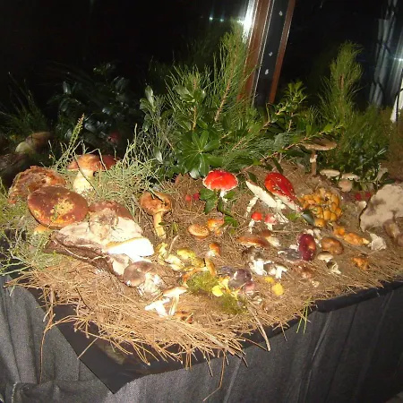 Pedras Lavradas 3* Teixeira de Baixo