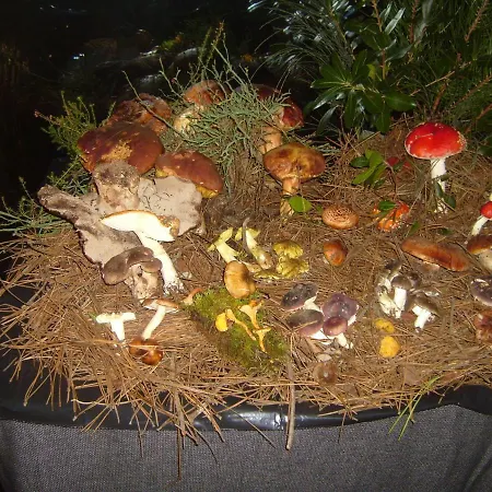 Pedras Lavradas Nocleg ze śniadaniem Teixeira de Baixo