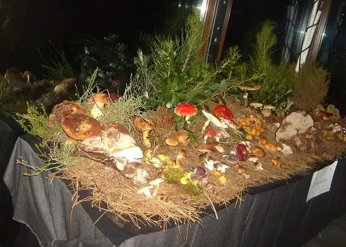 Pedras Lavradas 3* Teixeira de Baixo