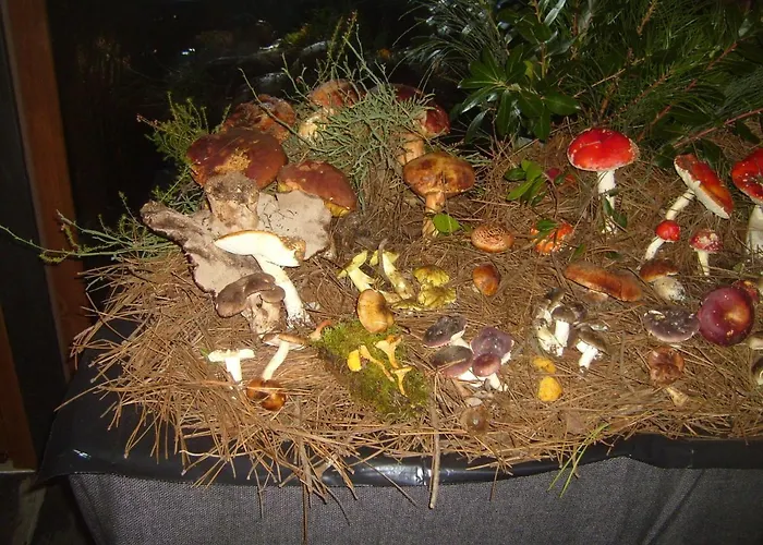 Pedras Lavradas Bed and breakfast Teixeira de Baixo